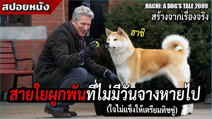 น้องหมาที่มารอเจ้านายของมันที่เดิมทุกวัน ทั้งๆที่ความจริงนั้น...!? [สปอยล์หนัง Hachi: A Dog's Tale]