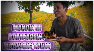 MANOK Ni KUMPARENG MAAYONG TAWO