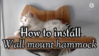 Installation of Cat Hammock