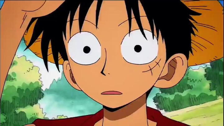 baka senchou ! luffy neh guys ada2 aja