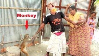 Funniest Haryanvi Bandar Bandriya Ka Khel เล่นตลก วิดีโอตลกวิดีโอตลกจากกล้องของฉัน