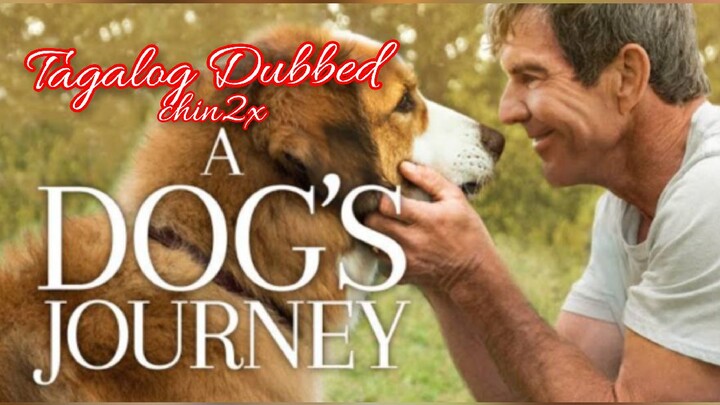 A Dog's Journey (2019) Tagalog Dubbed l Adventure l Comedy l Drama  (RJC ENCODED)