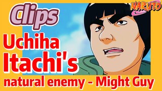 [NARUTO]  Clips |   Uchiha Itachi's natural enemy - Might Guy