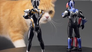 Setiap sudut terlihat jelek~ Uji coba unboxing Bandai shf Ultraman Rob