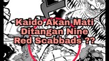 Samurai Nine Red Scabbards Akan Mengalahkan Kaido Di Onigashima ?
