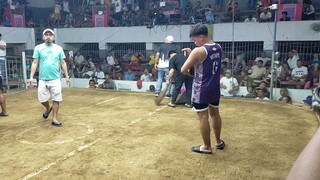 1st fight mga idol stag vs bullstag stag amin mga idol kaya matagal den namatay