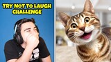 Try Not to Laugh Challenge #13 (FUNNY ANIMAL VIDEOS ONLY!)