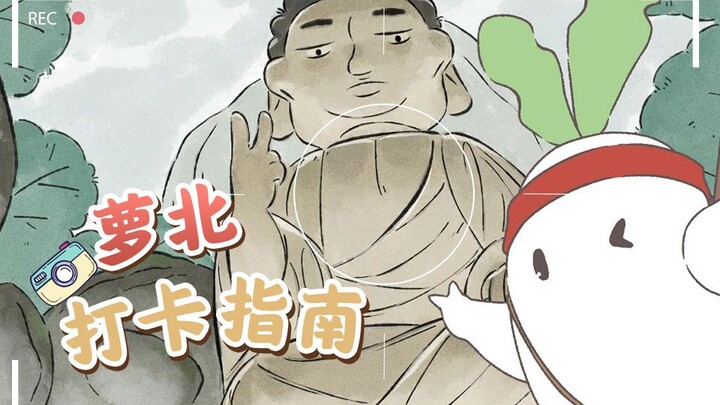 【原创动画】萝北打卡指南