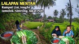 Panen CIPLUKAN, Lalapan RUMPUT LIAR, JUKUT PAIT, JONGHE, JAMOLOK SINTRONG, Sambel Terasi, BELEM ASIN