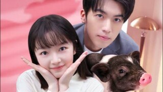 My Piggy Boss [ sub indo ] 2024 eps 9-12 end