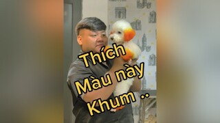 Màu quốc dân nè cả nhà ơii thucung learnontiktok