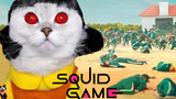 Squid Game Pet Edition -  Squid Game Netflix 5 PET MAX