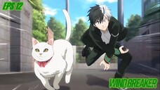 Wind Breaker Episode 12 | Perkara nangkep kucing