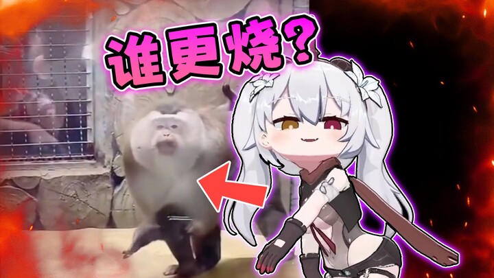 那我问你生物进化论，我赢了吗？