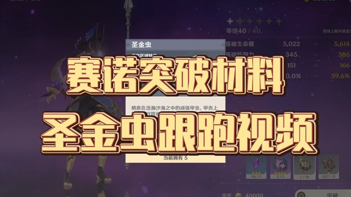 【原神】赛诺突破材料——圣金虫！全收集跟跑！（地上篇完结）