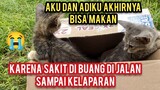 Tega Banget Anak Kucing Scabies Di Buang Dan Kelaparan Di Jalanan Tidak Ada Makanan Di Sana..!