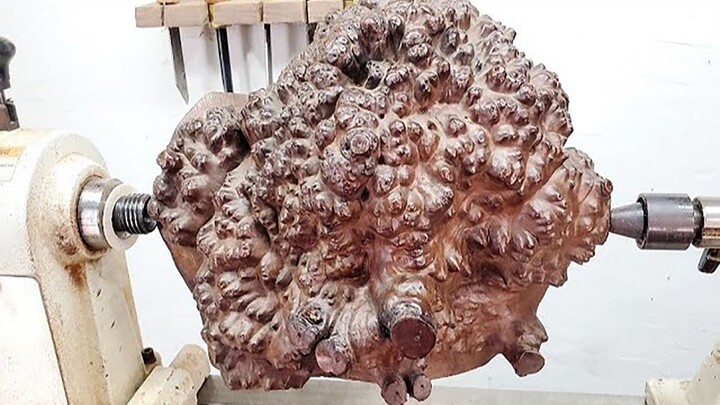 【Wooden Art】The transformation of a tree tumor