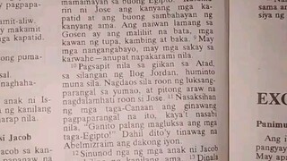 Pang Araw Araw na Talata.         Genesis 50:10-14