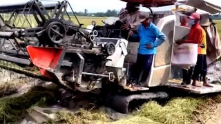 Máy Gặt Lúa DC 105x l Gặt Đất Dẻo Lầy Kinh Khủng l Cuộc Sống Miền Tây
