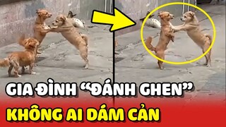 Vụ "ĐÁNH GHEN" chấn động của 1 gia đình không ai DÁM CẢN 😂 | Yêu Lu