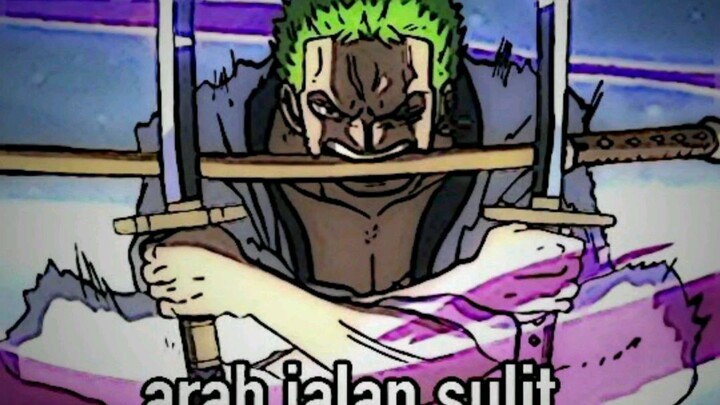 kelakuan Zoro bkin geleng²😭😐