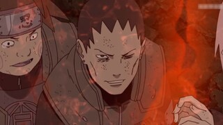 Naruto Tears: Deer ◎ Ming - Mọi người đều biết "Ming Zuoyi", nhưng ai có thể hiểu "Tình yêu Sukamaru