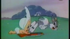 Bugs Bunny & Daffy Duck บักส์บันนี แอนด์ แดฟฟี่ดั้ก VCD Vol.5