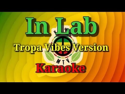 Tropa Vibes Version - In Lab | Karaoke | Instrumental