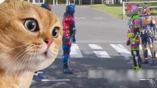 Là mẹ chồng hãy cùng xem Kamen Rider cùng tôi nhé: