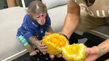 给小猴吃菠萝蜜会有怎样的反应？