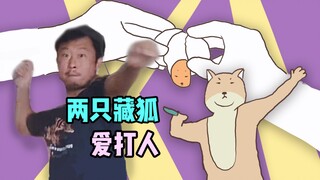 【动画MV】两 只 藏 狐 爱 跳 舞