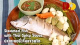 Steamed Fish with Thai Spicy Sauce | Thai Food | ปลากะพงนึ่งจิ้มแจ่ว