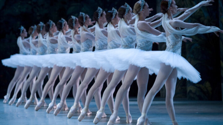 [Ballet|Fragrance] Ballerina Mixed Cut—If the heart dies in splendor, love will be reborn in the ash