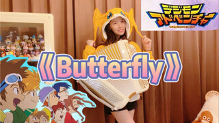 【手风琴】《butter-fly》数码宝贝主题曲 和田光司 无限大！童年回忆杀