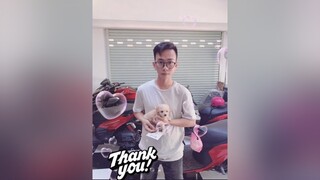 Khách đón con trai cưng về nhà mới. Poodle Teacup thuần chủng 😍😉poodle dog chó mèo chó_cưng