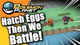 Pokemon Planet - Opening Common Eggs Then We Fight!