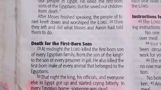 Daily Verse.                  Exodus 12:29-30