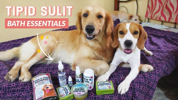 BUDGET-FRIENDLY BATH ESSENTIALS FOR DOGS | Paw Essentials