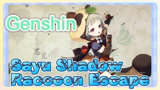 Sayu Shadow Raccoon Escape