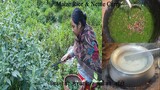 सिस्नुको तरकारी र मकैको आँटो बनाउने तरिका । Maize Rice and Nettle Curry | Recipe | Nepali Food |