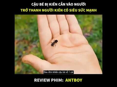 Cậu bé bị kiến vào có năng lực siêu nhân và trở thành người kiến