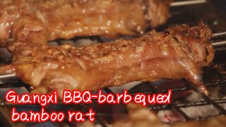 Guangxi BBQ-barbequed bamboo rat