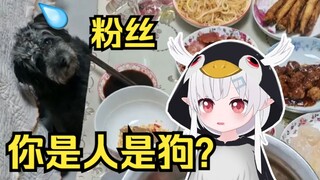 日本小企鹅看粉丝的年夜饭，直问「你是人还是狗？」
