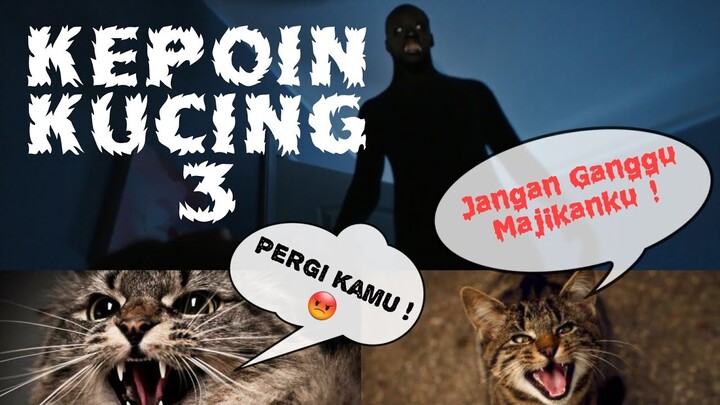 Tugas KUCING Saat MANUSIA TIDUR 👍 Banyak Yang Tidak Tahu 😱 Bikin TERHARU 😭 !! - Kartun Lucu