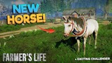 New *HORSE* In Our FARM! - Farmer's Life #4 (HINDI)