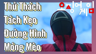 Thử Thách Tách Kẹo Đường Hình Móng Mèo