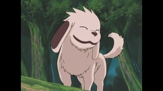 Akamaru Barking Compilation