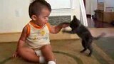 Toddler vs. Kitten