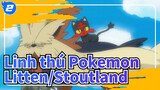 [Linh thú Pokemon] Litten:" Stoutland, bạn có thấy sự trưởng thành của tôi?"_2