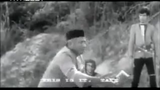 KERANDA JINGGA FILM 1969